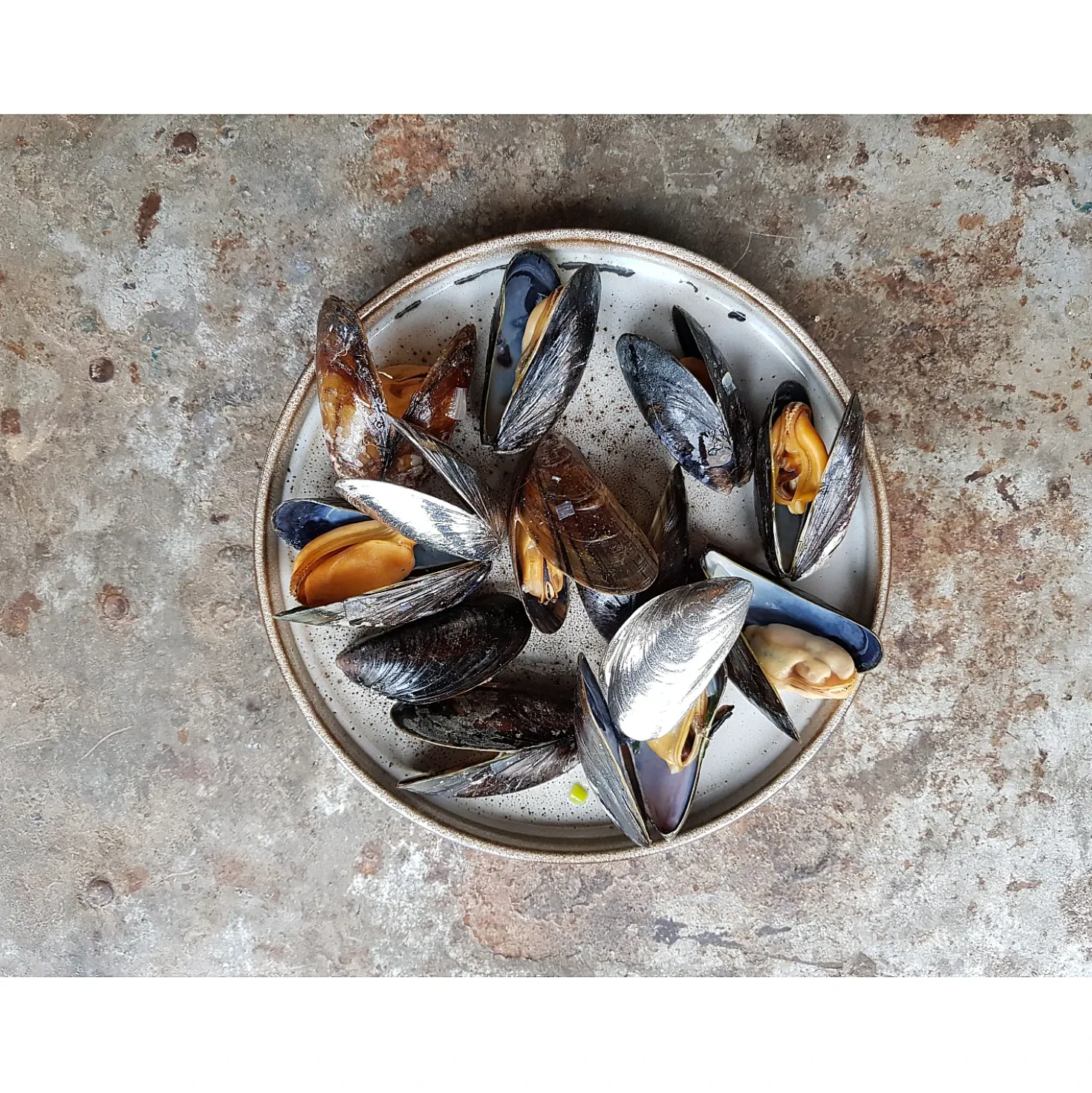 Anovi Mosselbestek Tin (2 Stuks)