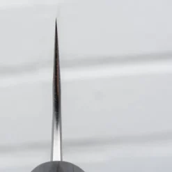 Anryu Knives Aogami #2 Gyuto 24 cm