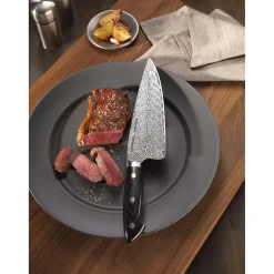 Bob Kramer Euro Stainless Gyuto 20 cm