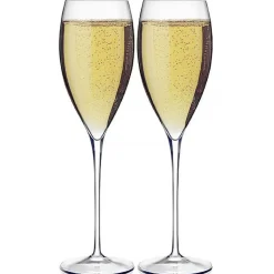 Bormioli Galileo Champagneglazen- 0.26L (2 Stuks)