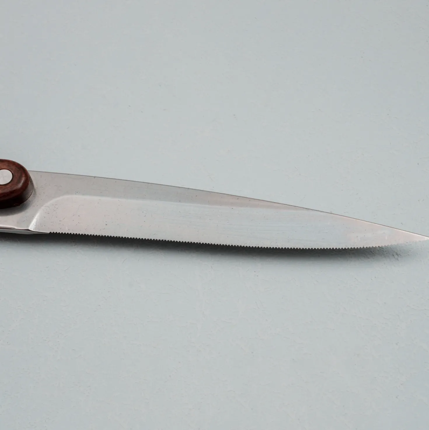 Deejo Steakmessenset Rozenhout (4 stuks)