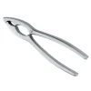 Due Cigni Notenkraker 16.7 cm