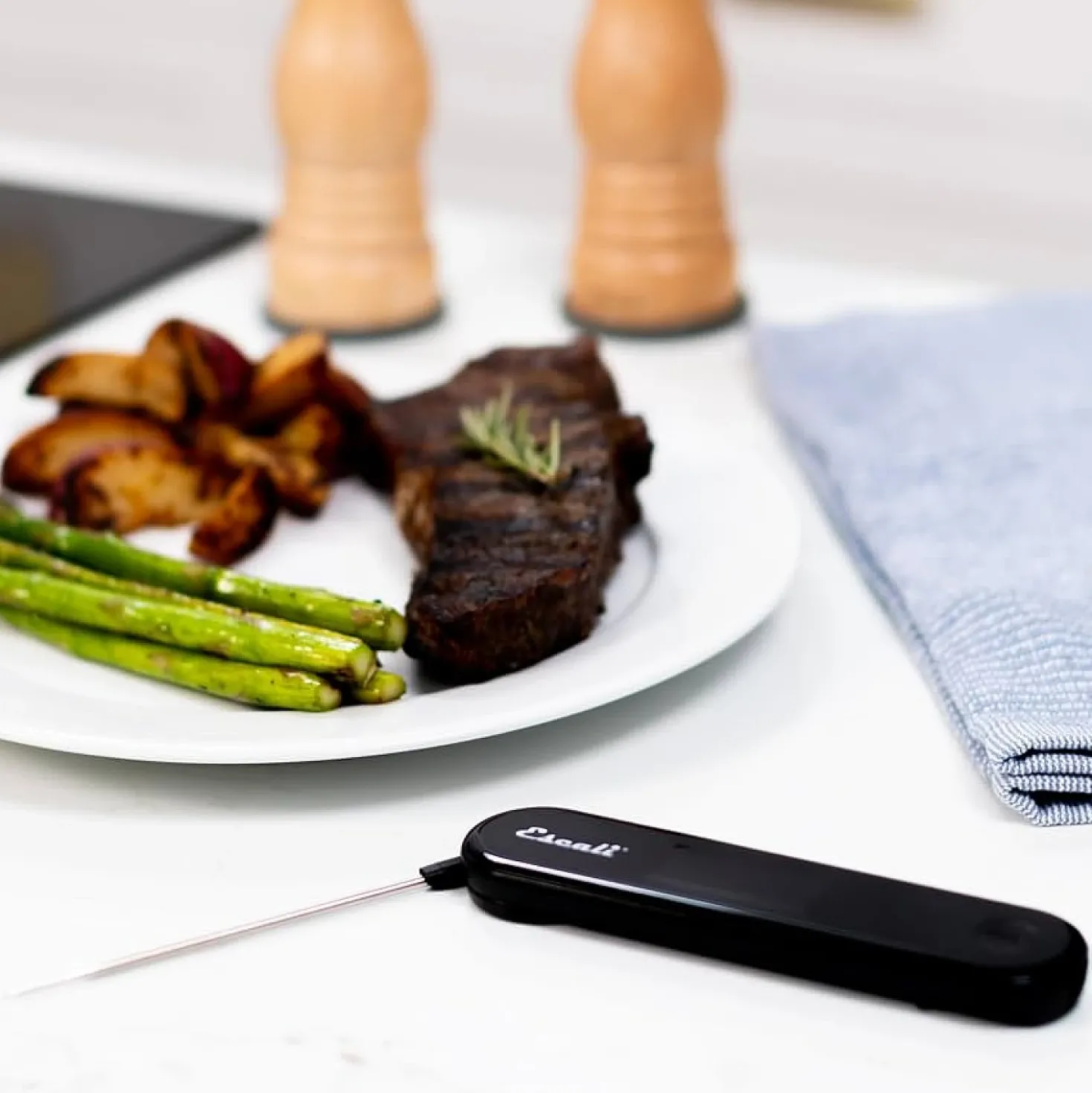 Escali Stelo Waterbestendige Vouwbare Thermometer