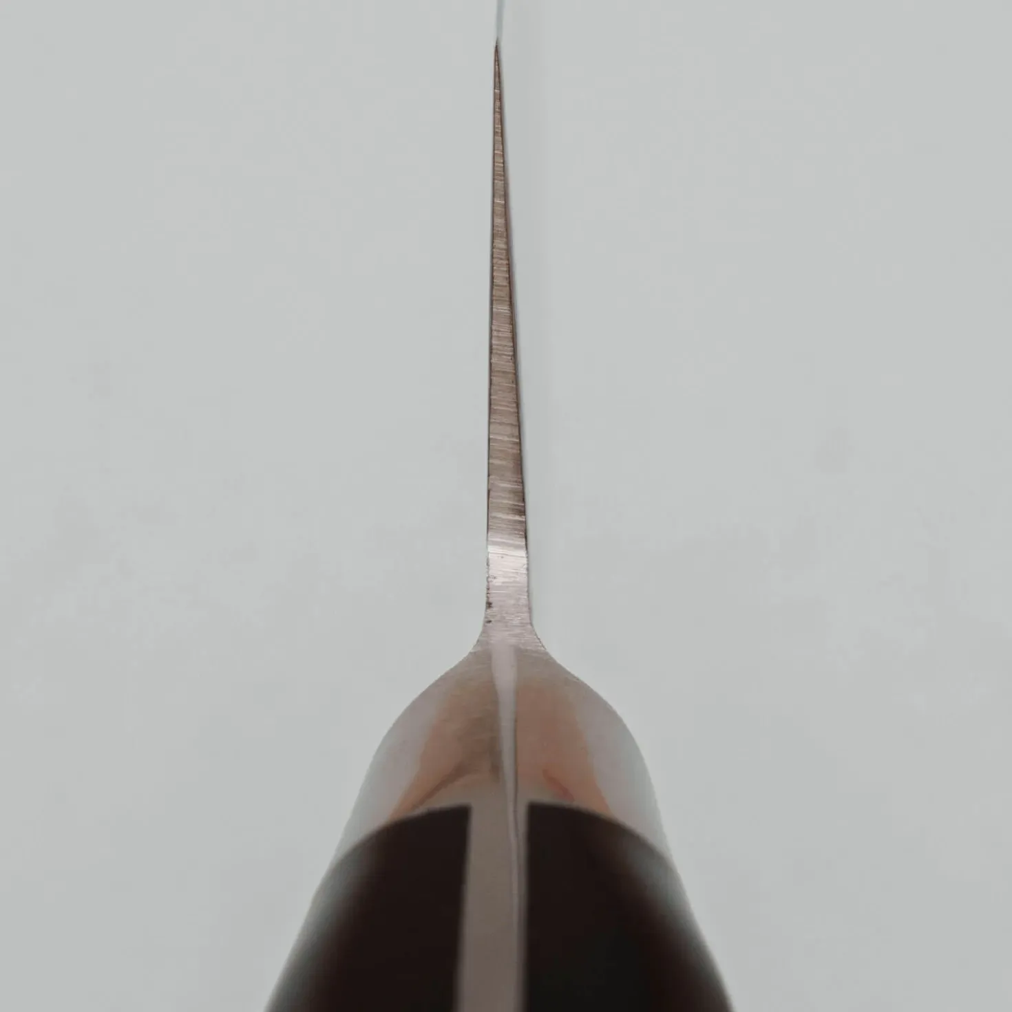 Fujitora DP3 Gyuto 21 cm