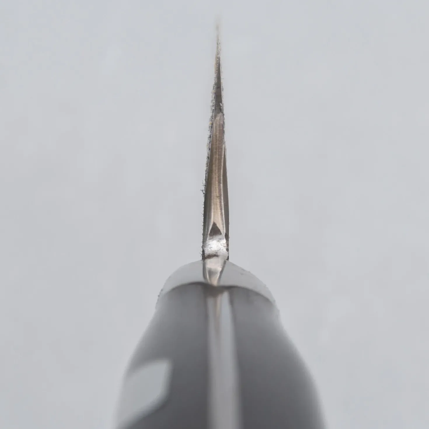 Fujiwara Denka Petty 15 cm