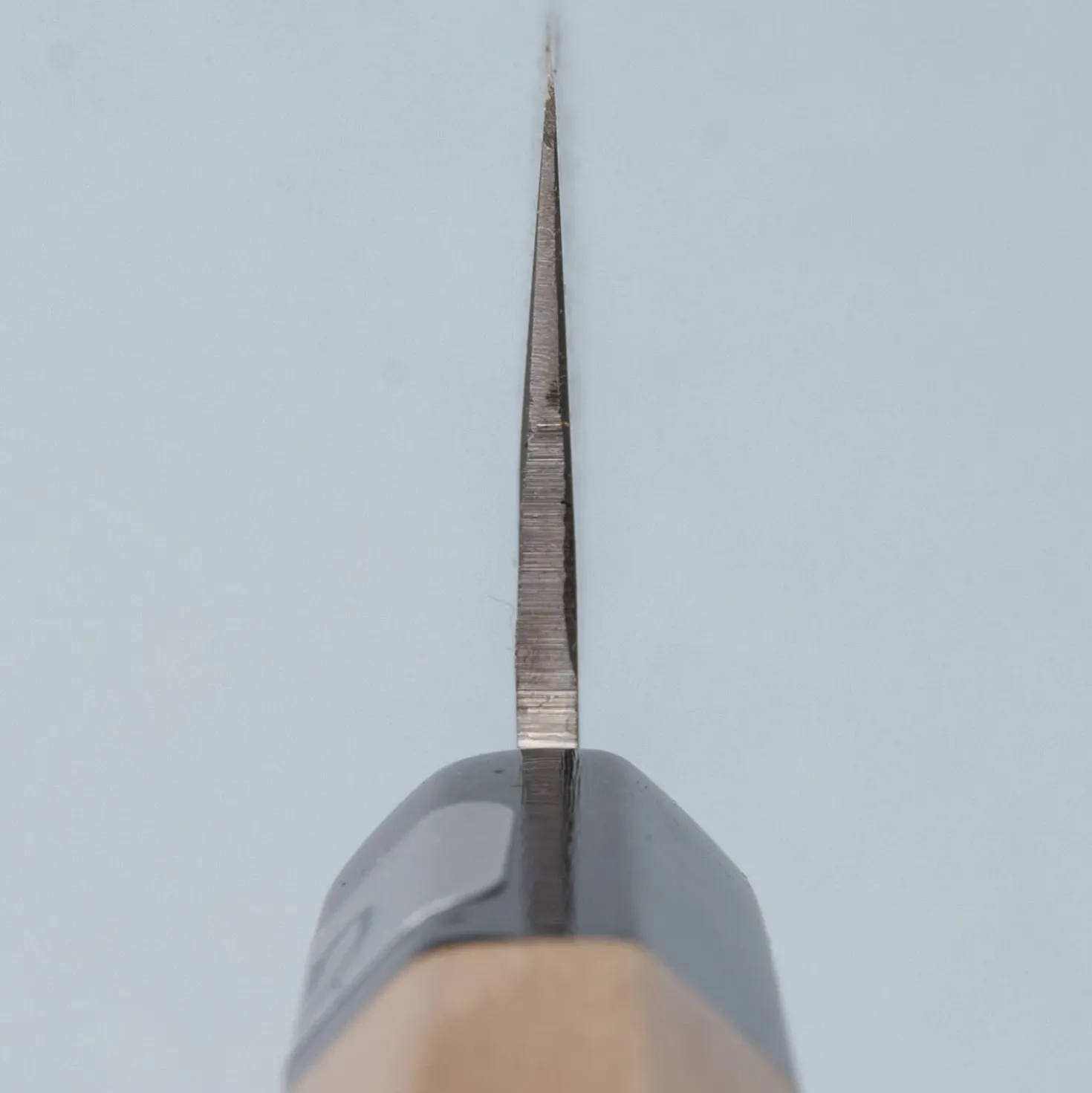 Fujiwara Maboroshi Wa Petty 13 cm
