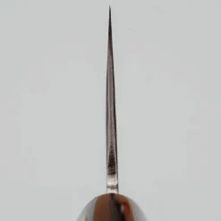 Fujiwara Nashiji #1 Gyuto 18 cm