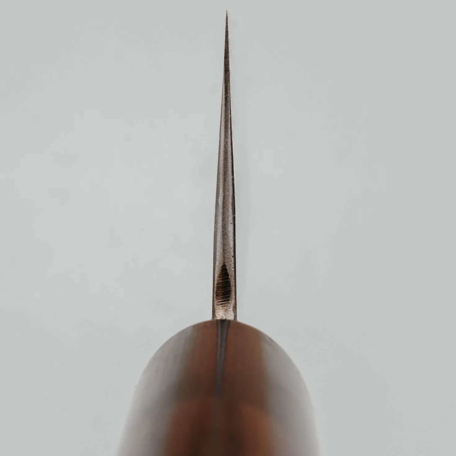 Fujiwara Shirogami #1 Nashiji Rosewood Gyuto 210