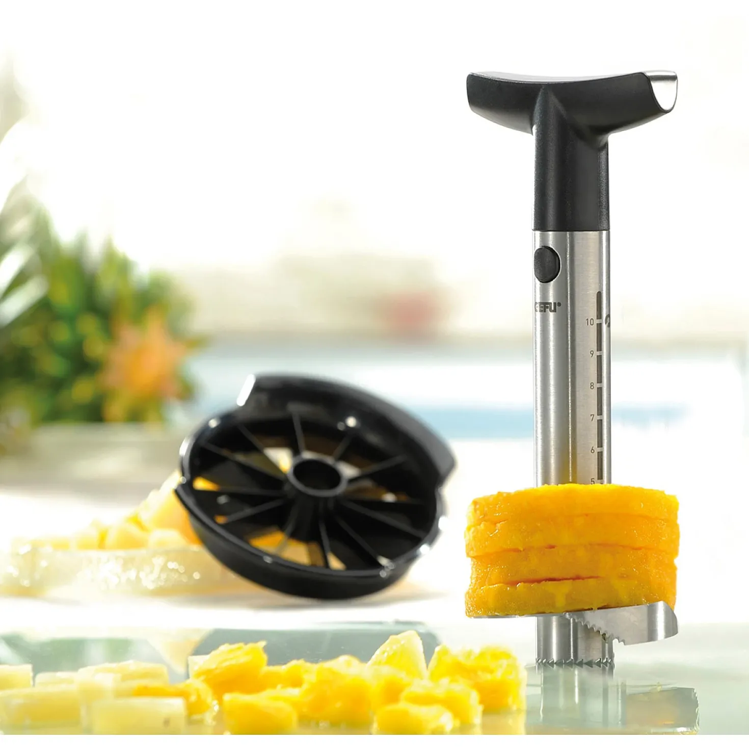 Gefu Ananas Snijder En Partjes Snijder