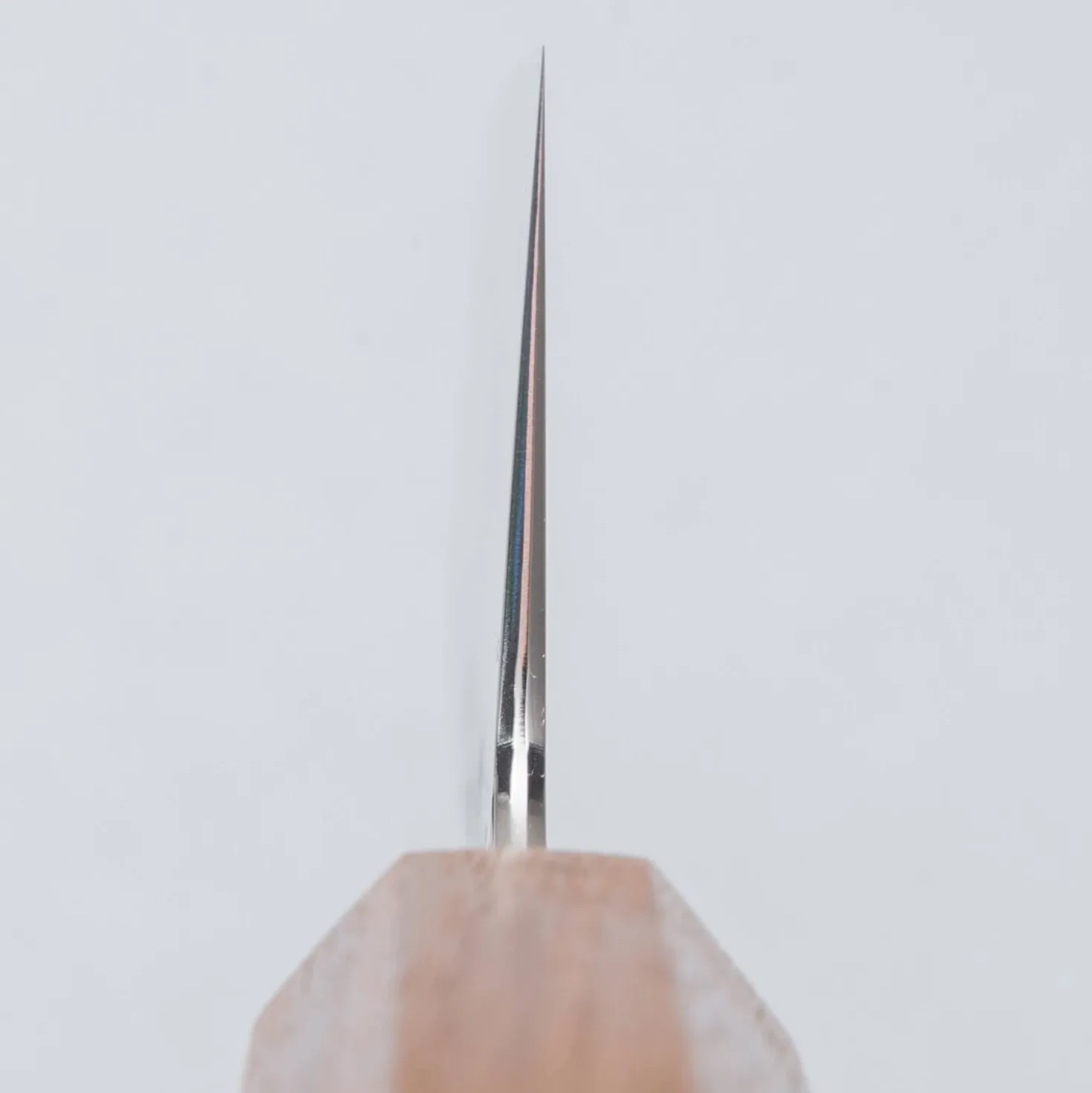 Hado Shiosai SG2 Walnut Kiritsuke Gyuto 21 cm