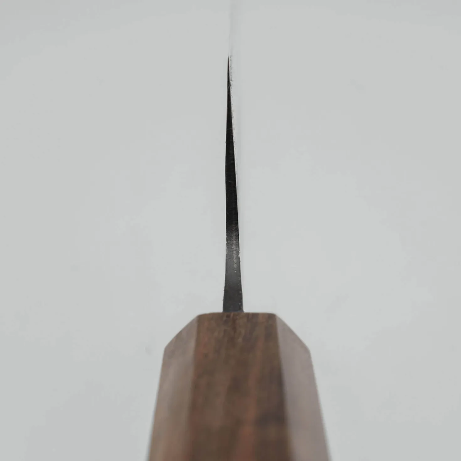 Hatsukokoro Aokitae Aogami #2 Bunka 20 cm