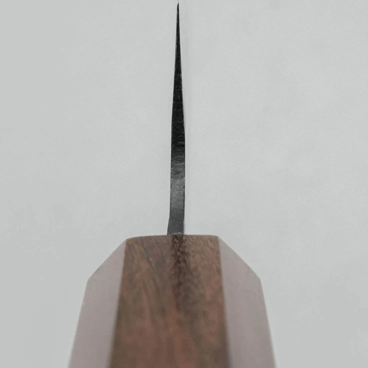 Hatsukokoro Aokitae Aogami #2 Santoku 18 cm