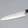 Hatsukokoro Ginyo Ginsan Damast Tsuchime Gyuto 21 cm