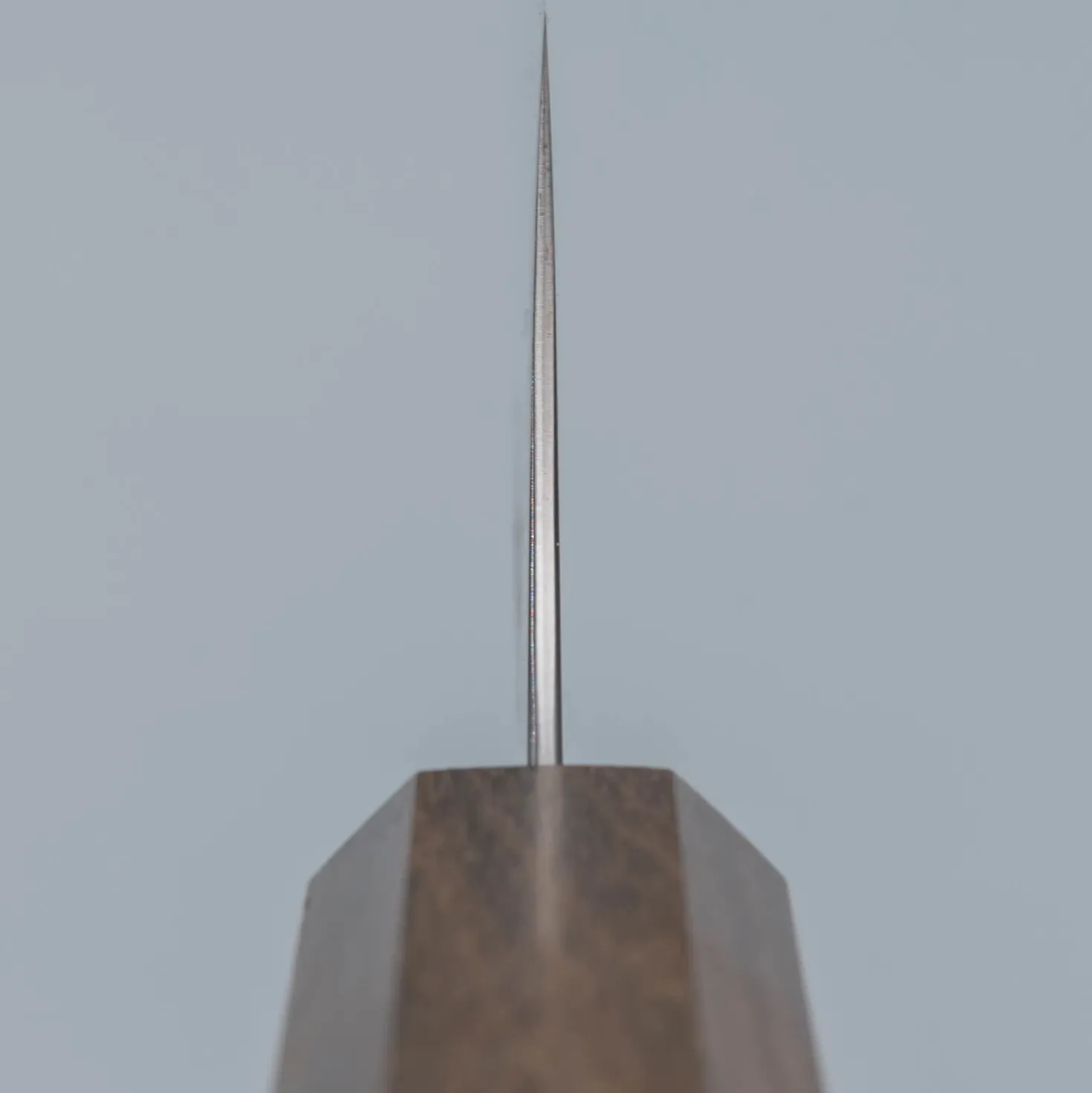 Hatsukokoro Hayabusa Aogami Super Gyuto 21 cm