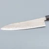 Hatsukokoro Hayabusa Aogami #2 Rainbow Damast Gyuto 21 cm