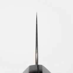 Hatsukokoro Hayabusa Hap40 Gyuto 24 cm