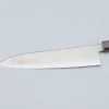 Hatsukokoro Hayabusa SG2 Ebony Gyuto 21 cm