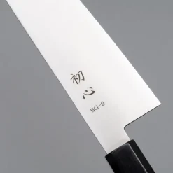 Hatsukokoro Hayabusa SG2 Gyuto 24 cm
