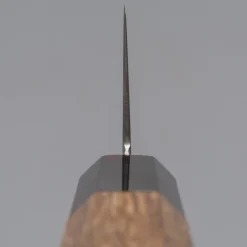 Hatsukokoro Hayabusa SG2 Gyuto 24 cm