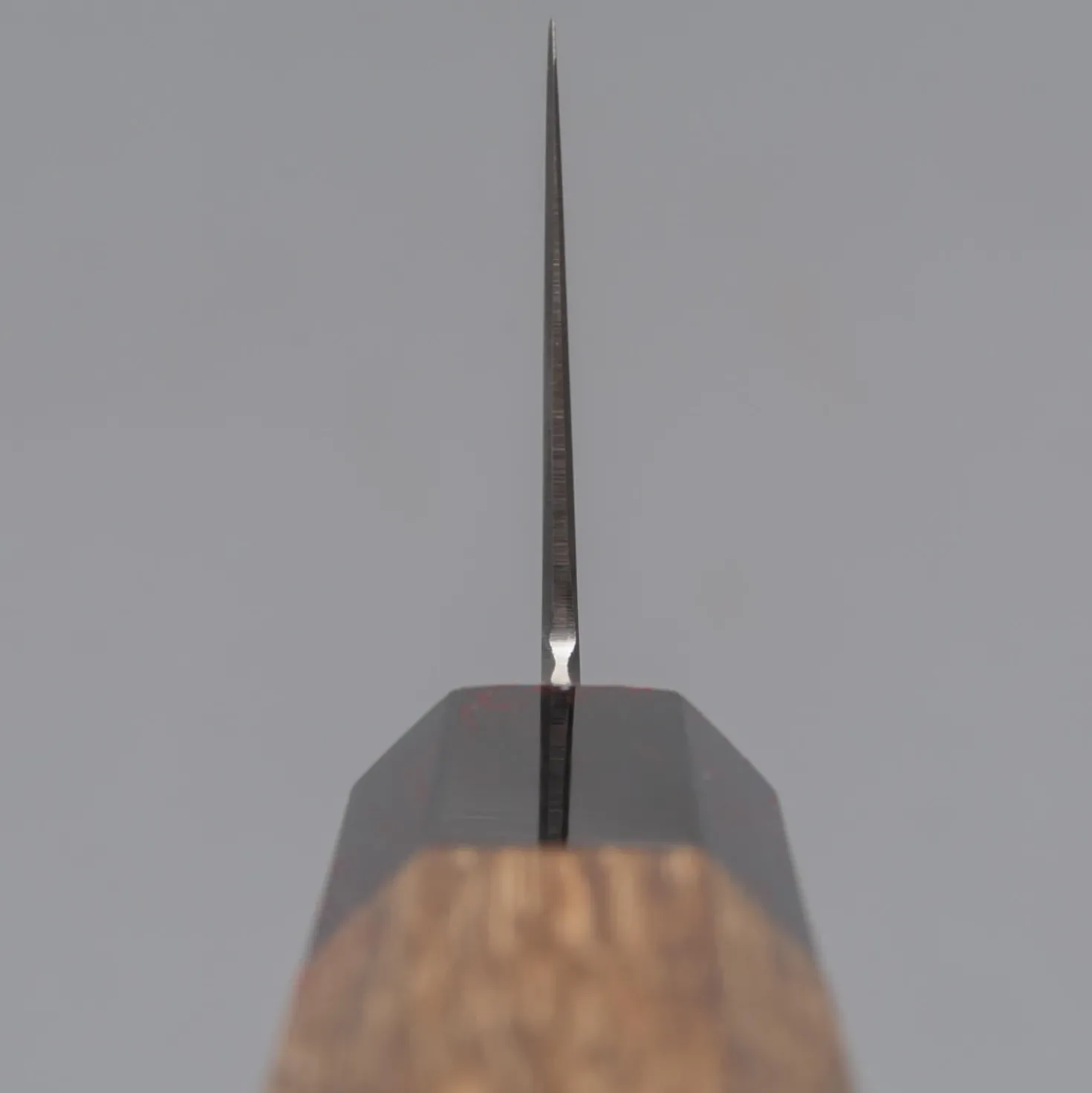 Hatsukokoro Hayabusa SG2 Santoku 18 cm