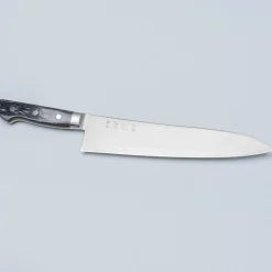 Hatsukokoro Hayabusa SG2 Western Gyuto 24 cm
