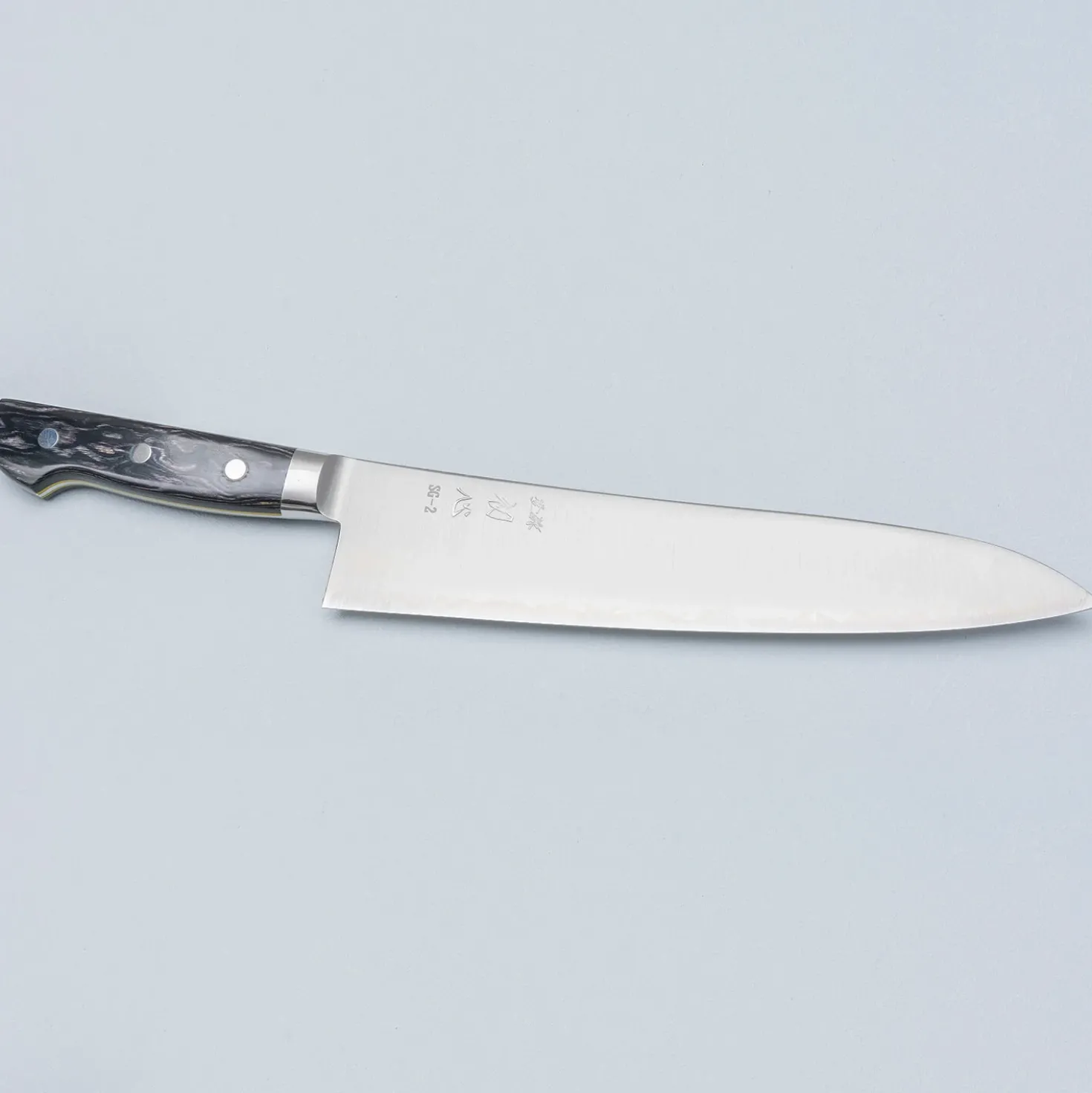 Hatsukokoro Hayabusa SG2 Western Gyuto 24 cm