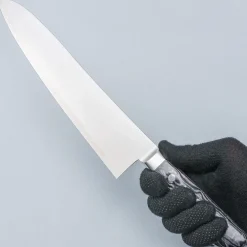 Hatsukokoro Hayabusa SG2 Western Gyuto 24 cm