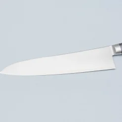 Hatsukokoro Hayabusa SG2 Western Gyuto 24 cm