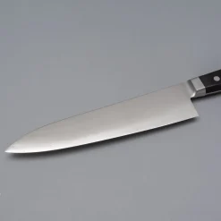 Hatsukokoro Hayabusa VG5 Gyuto 21 cm