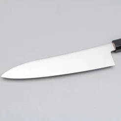Hatsukokoro Hayabusa ZDP189 Gyuto 21 cm