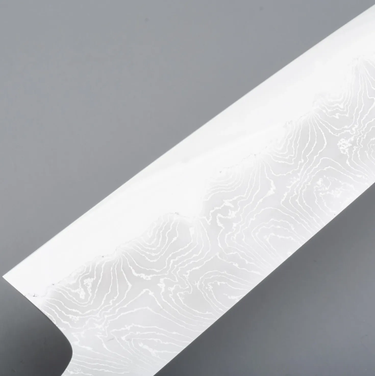 Hatsukokoro Hyomon Shiro #2 Hand Laminated Gyuto 24 cm