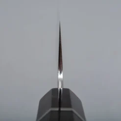 Hatsukokoro Hyomon Shiro #2 Hand Laminated Gyuto 24 cm