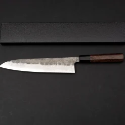 Hatsukokoro Inazuma Aogami Damascus Super Gyuto 24 cm