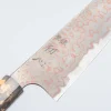 Hatsukokoro Irodori Aogami 2 Rainbow Gyuto 27 cm
