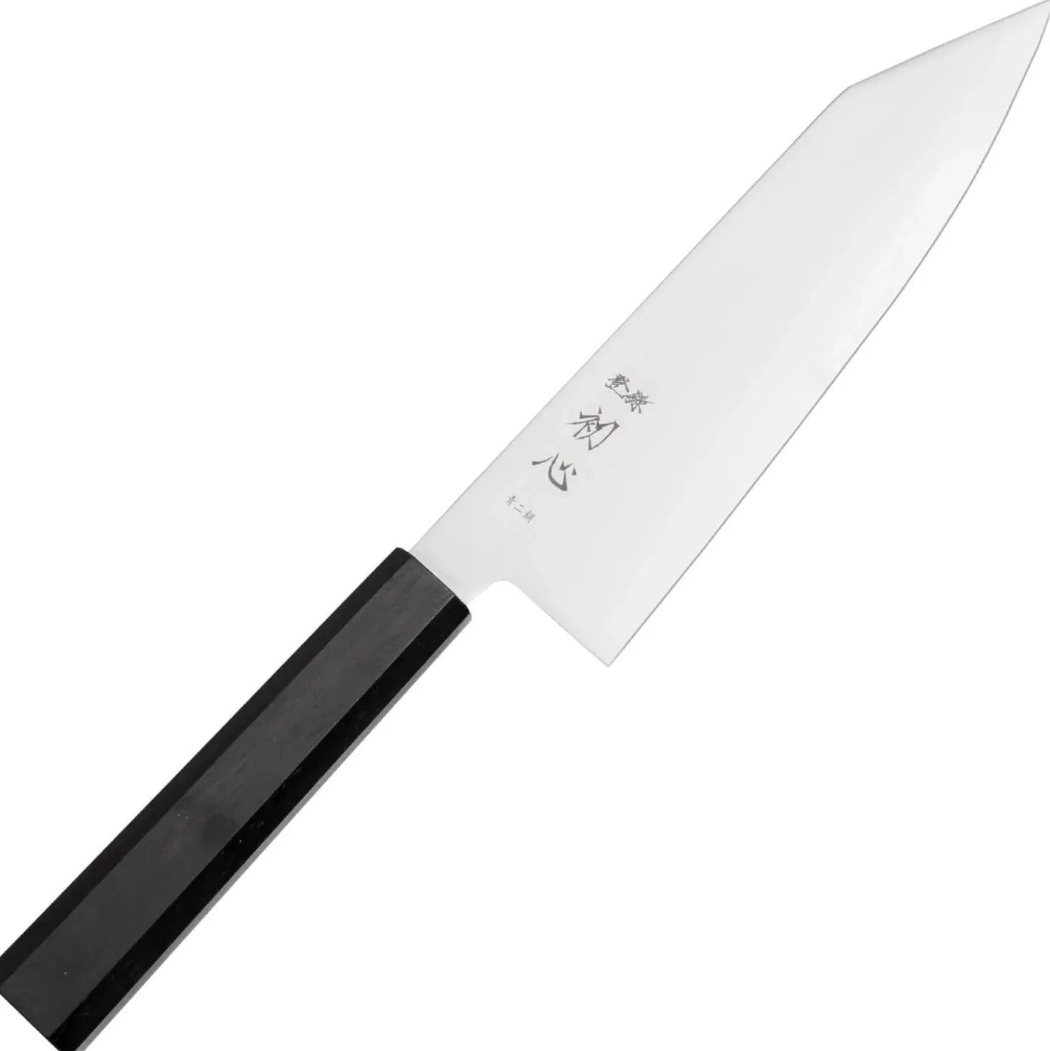 Hatsukokoro Kaijin Aogami #2 Bunka 18 cm