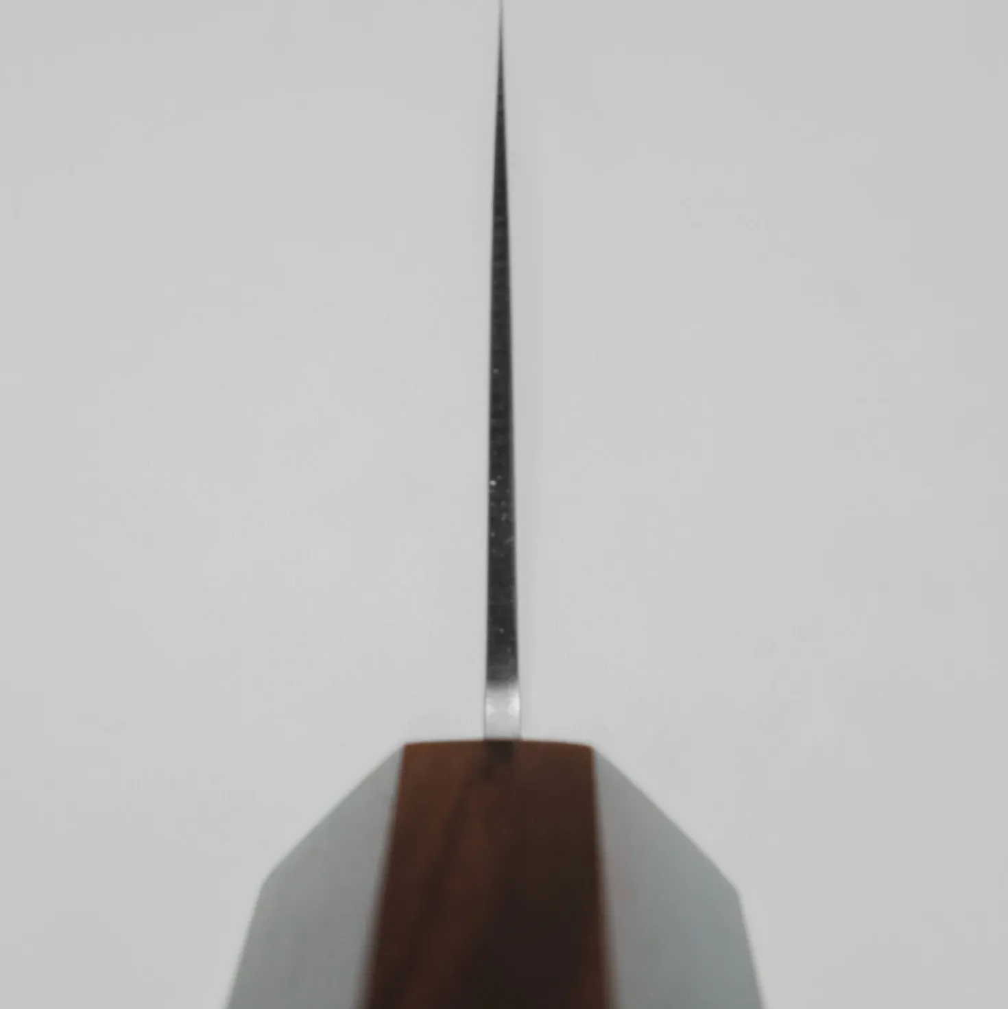 Hatsukokoro Kaijin Aogami #2 Gyuto 24 cm