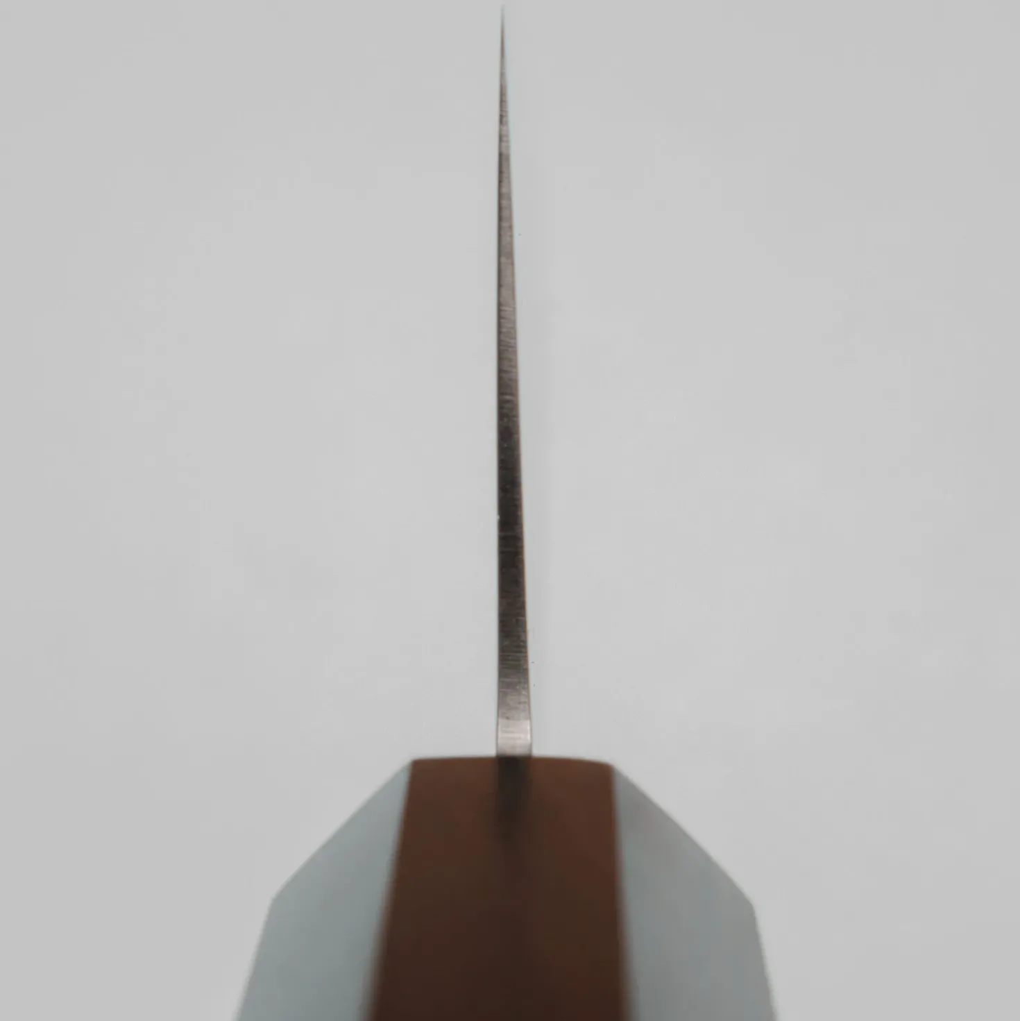 Hatsukokoro Kaijin Aogami #2 Kiritsuke 24 cm