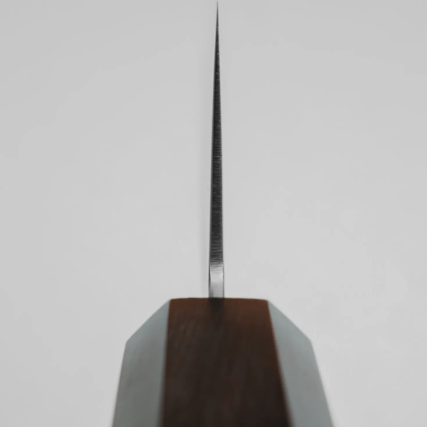 Hatsukokoro Kaijin Aogami #2 Kiritsuke 21 cm