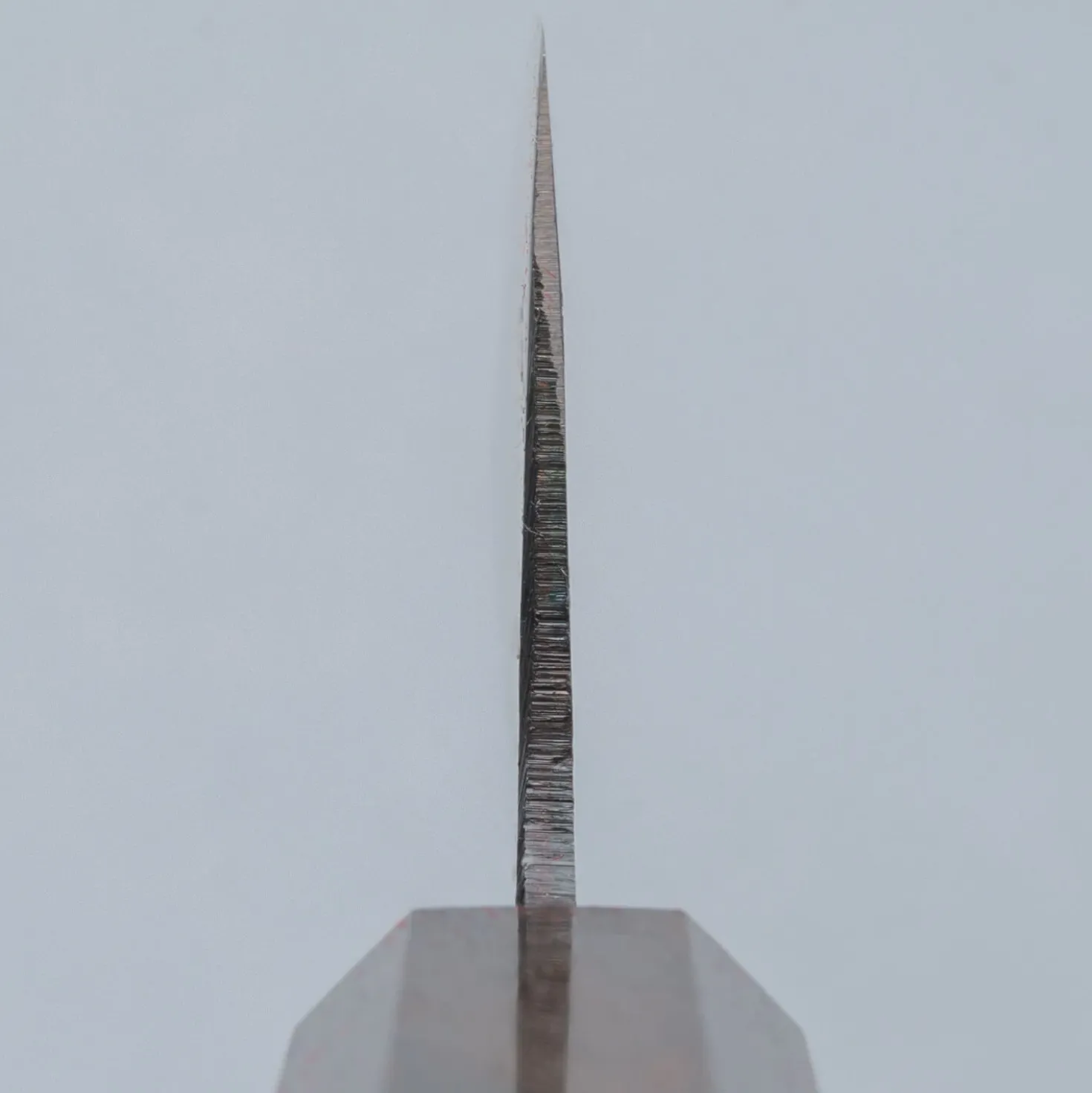 Hatsukokoro Kokugei Aogami Gyuto 24 cm