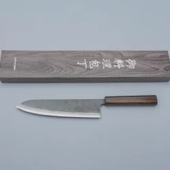 Hatsukokoro Kokugei Aogami Gyuto 21 cm