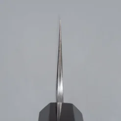 Hatsukokoro Komorebi Aogami 2 Gyuto 21 cm
