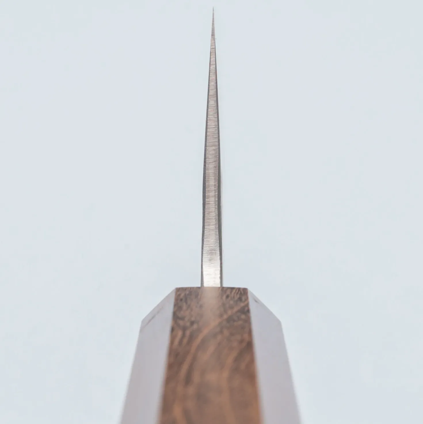 Hatsukokoro Kurokaze Shiro #2 Bubinga Wide Gyuto 21 cm