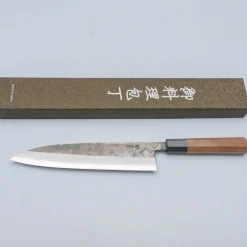 Hatsukokoro Kurosagi Aogami Super Gyuto 24 cm