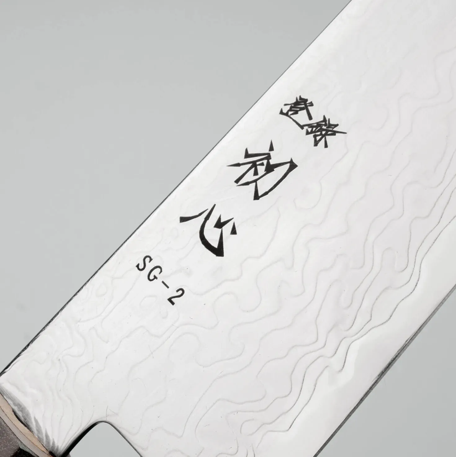 Hatsukokoro Ryuhyo SG2 Damast Birch Kiritsuke Gyuto 21 cm