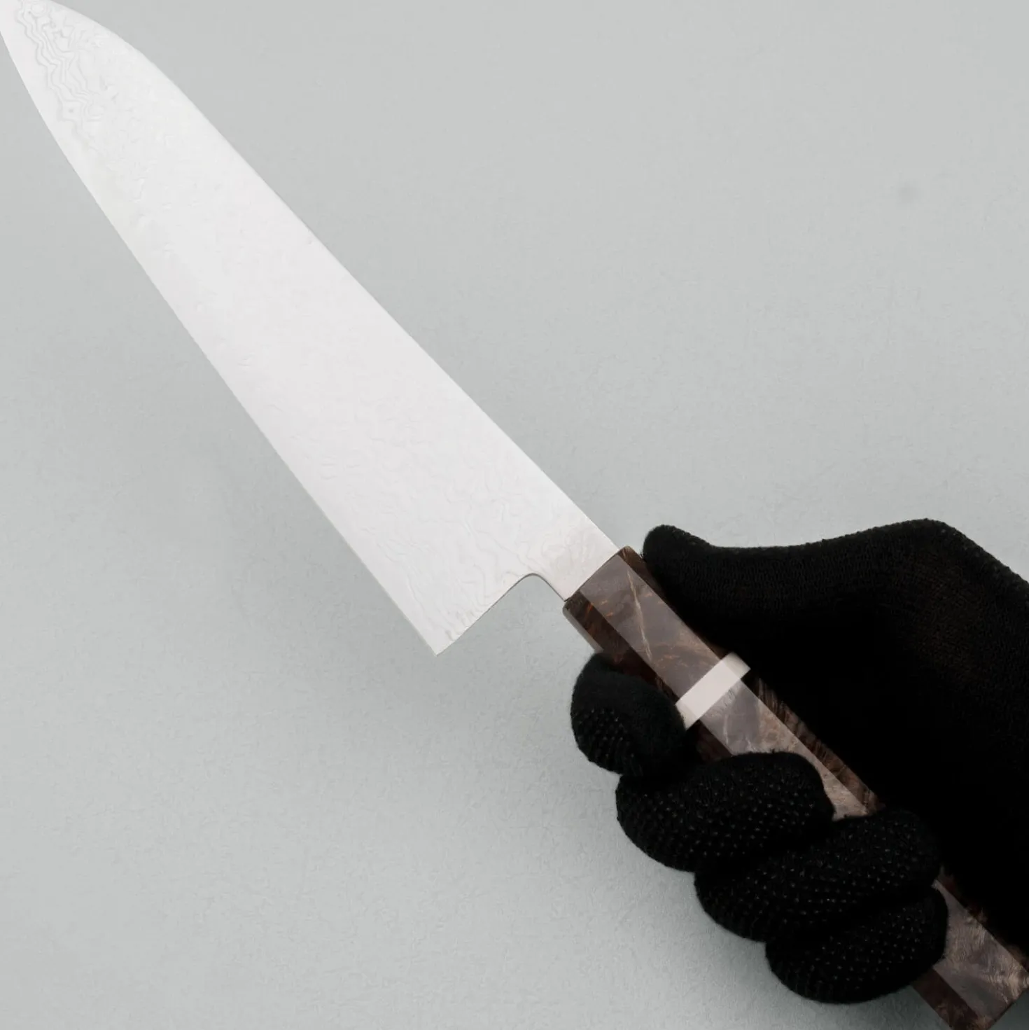 Hatsukokoro Ryuhyo SG2 Damast Birch Gyuto 21 cm