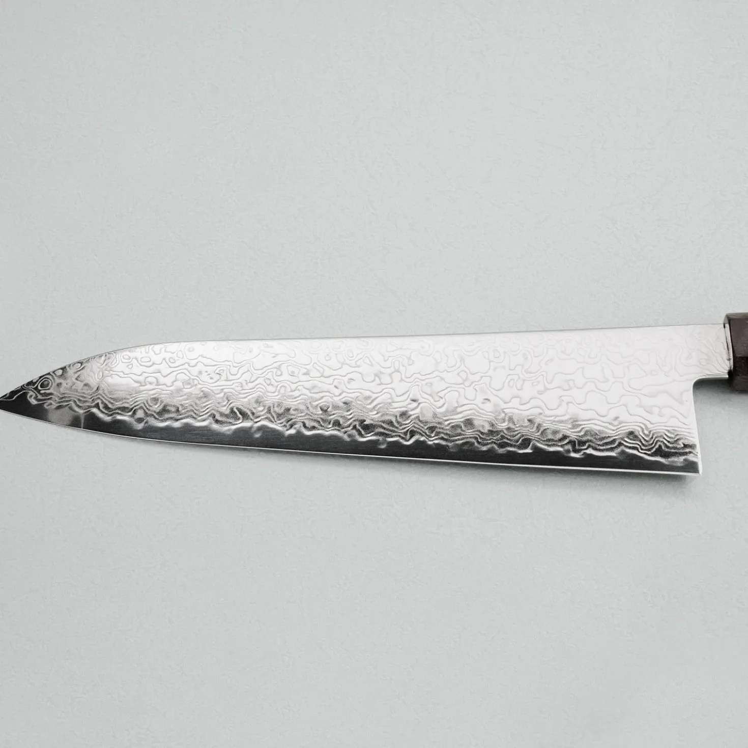 Hatsukokoro Ryuhyo SG2 Damast Birch Gyuto 21 cm