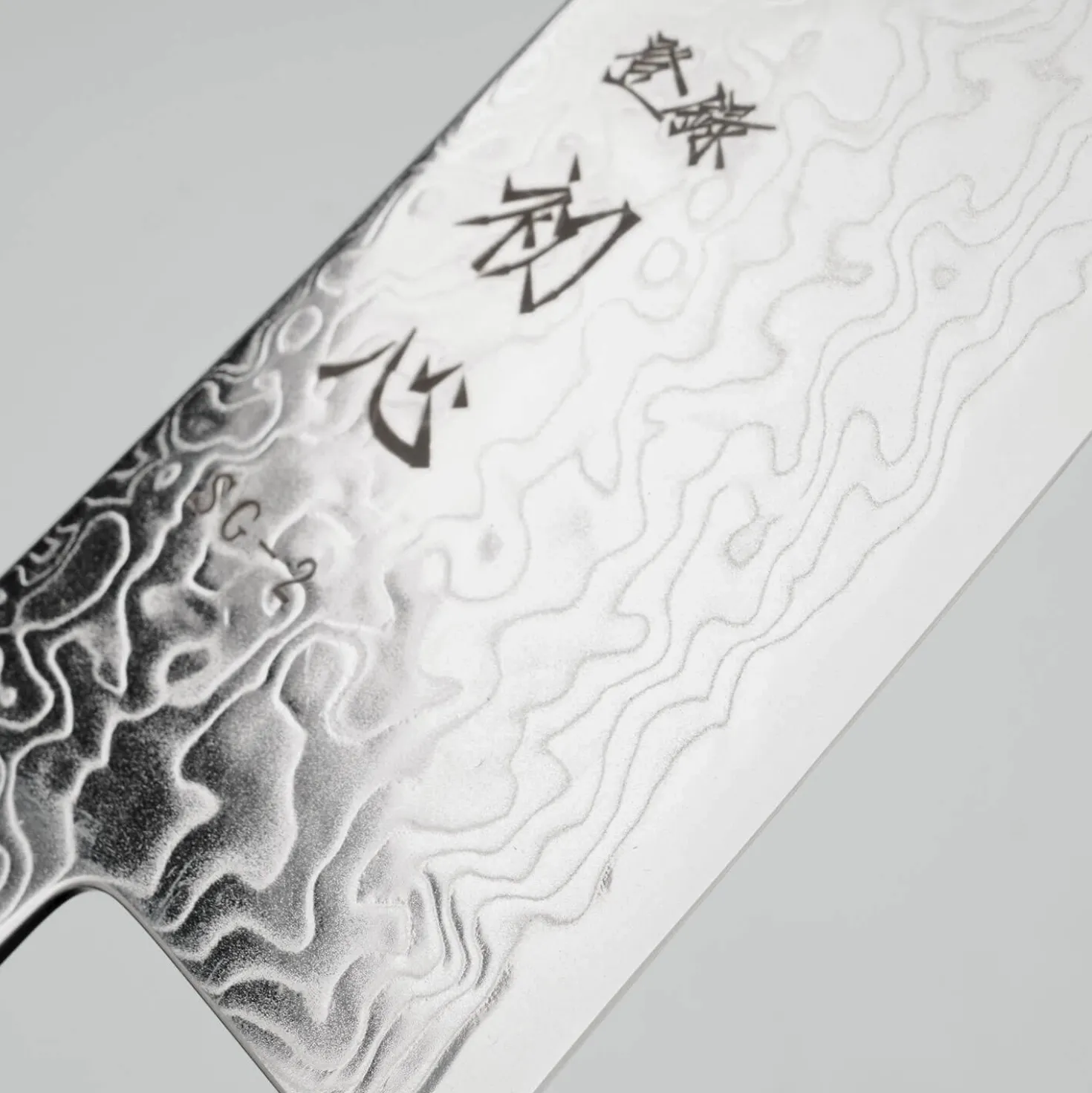 Hatsukokoro Ryuhyo SG2 Damast Birch Gyuto 21 cm