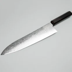 Hatsukokoro Ryuhyo SG2 Damast Ebony Gyuto 21 cm
