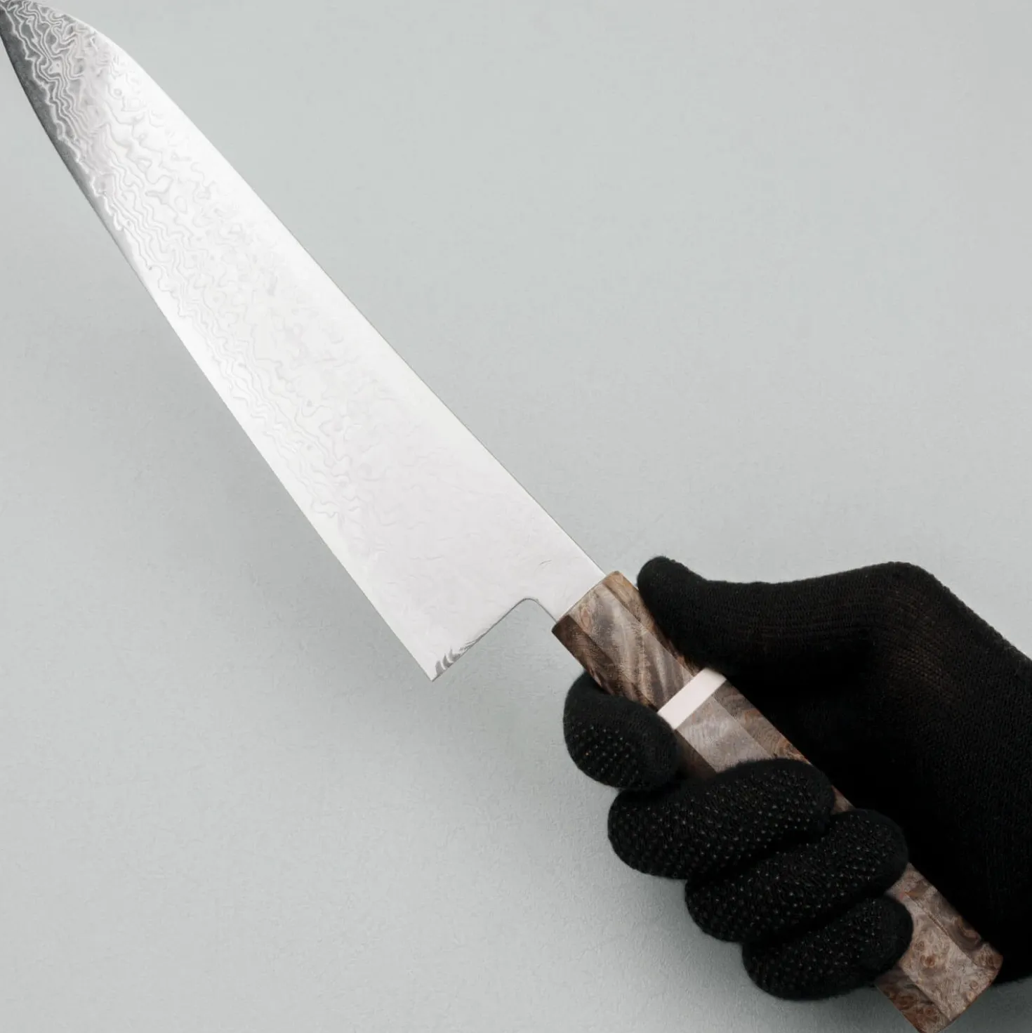 Hatsukokoro Ryuhyo SG2 Damast Birch Gyuto 24 cm