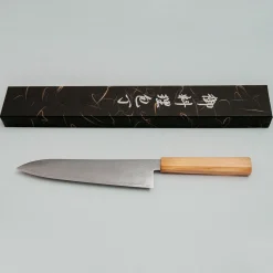 Hatsukokoro Ryuhyo SG2 Damast Olive Gyuto 21 cm